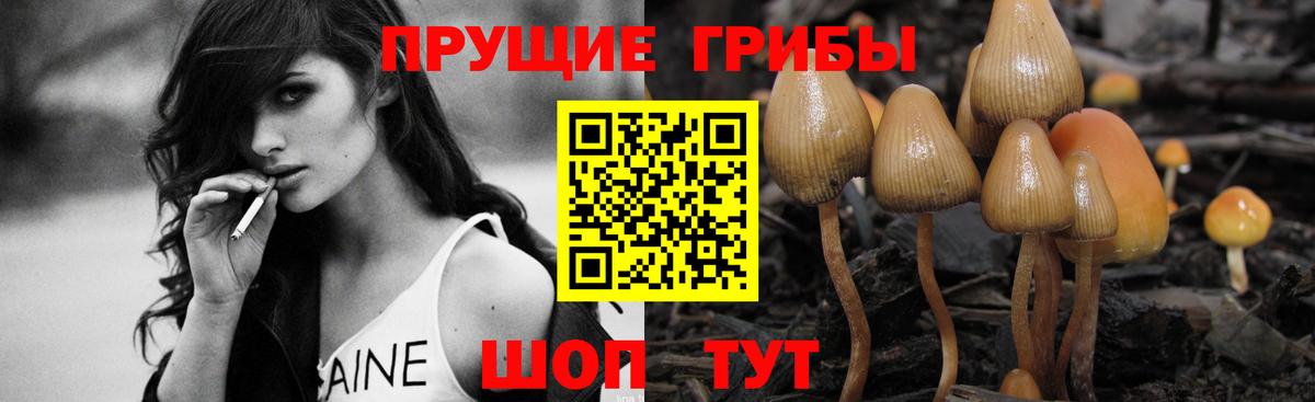 Галлюциногенные грибы ЛСД  Вход с VPN  Саратов 
